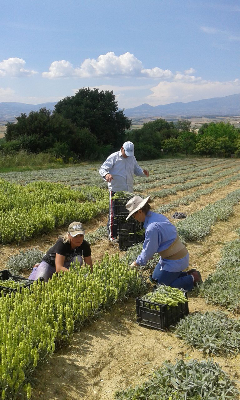 Ambachtelijke productie